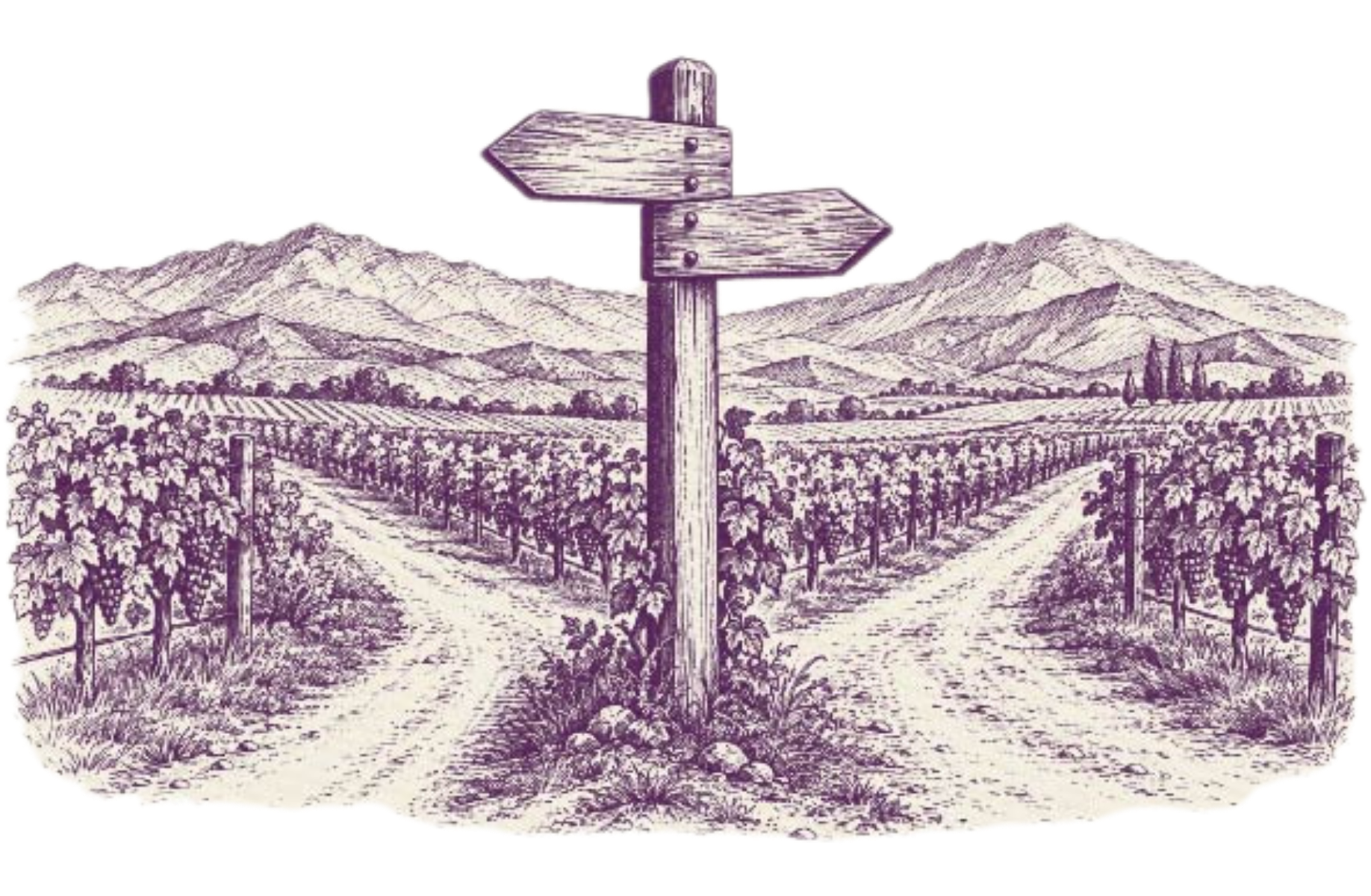 Vintage signpost at a vineyard path junction with mountains in the background