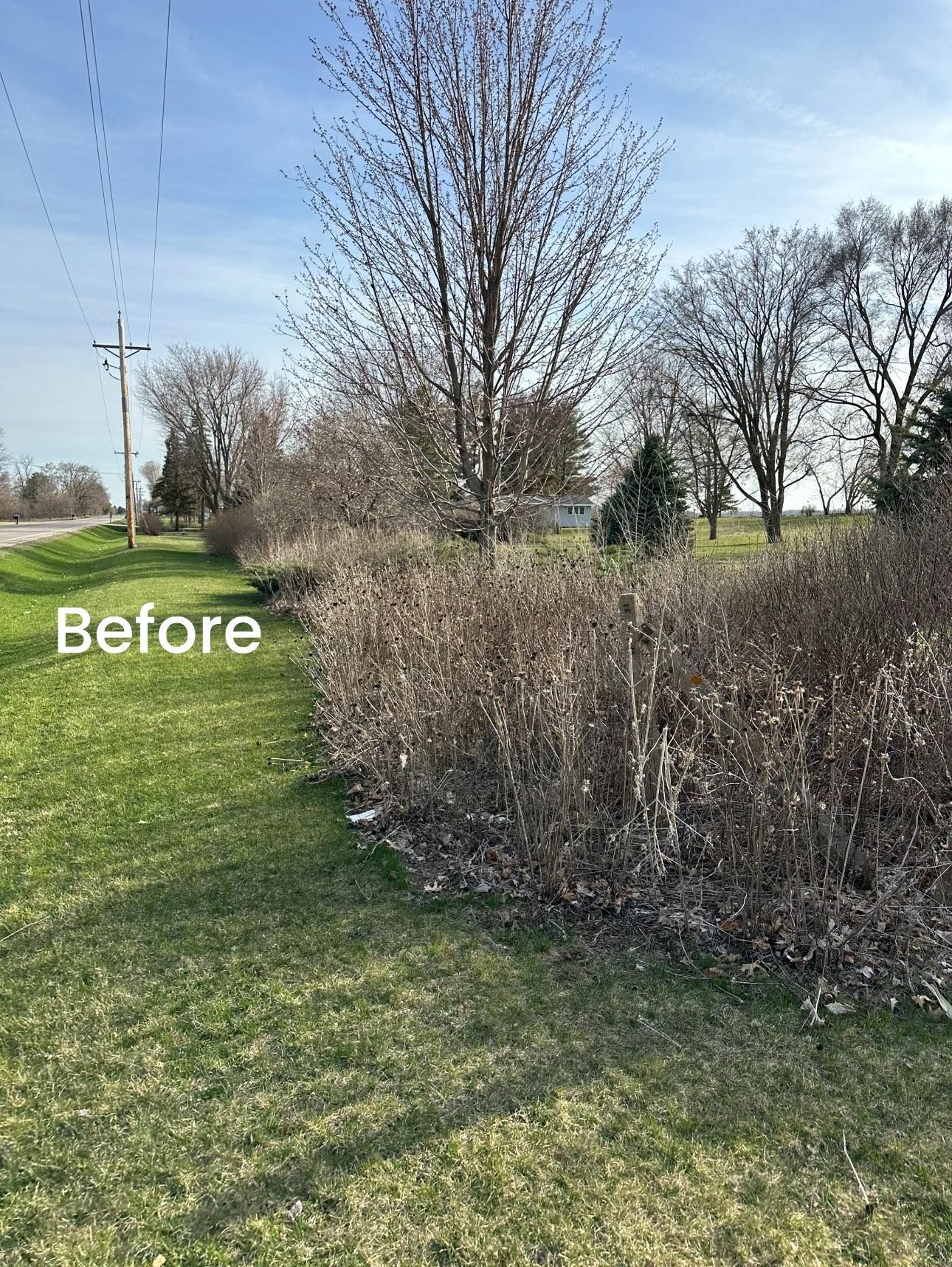 A before and after picture of a hedge in a yard.
