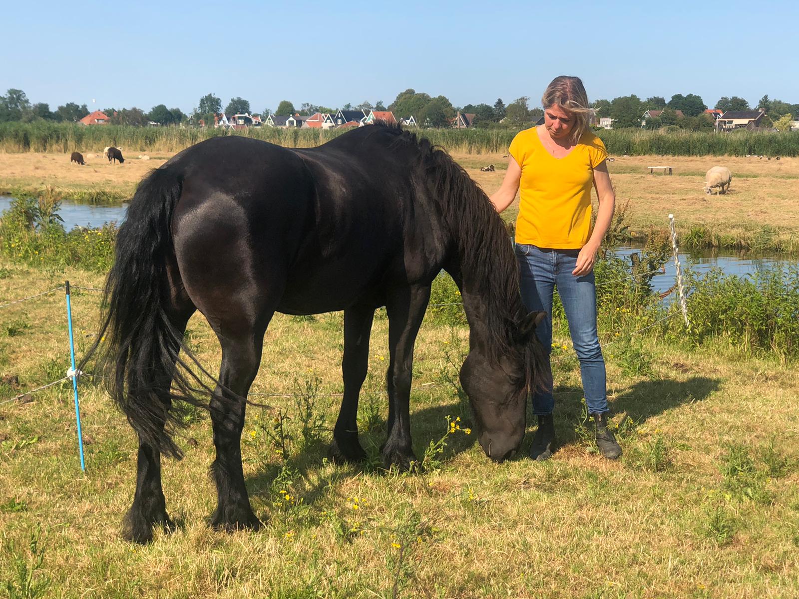 Vrouw in een geel shirt met een zwart paard dat graast bij een kanaal op een zonnige dag.