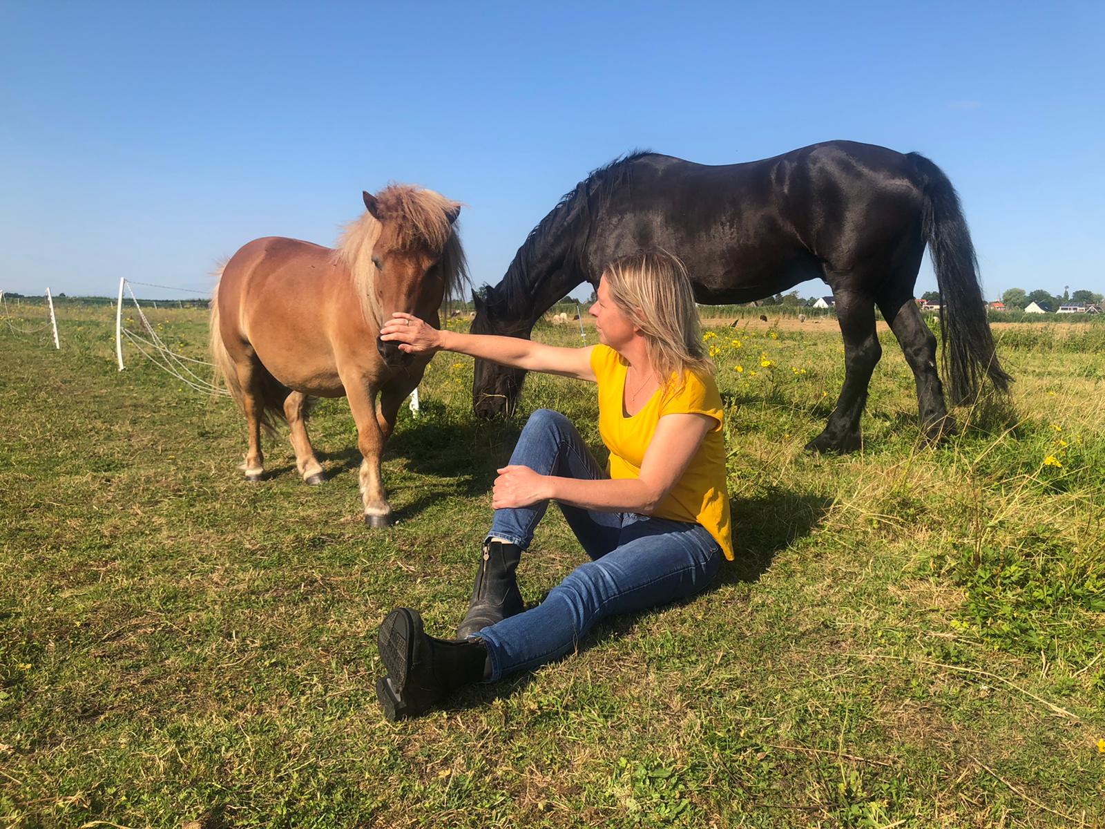 Een vrouw zit in het gras en aait een klein bruin paard; een zwart paard graast vlakbij op een zonnige dag.