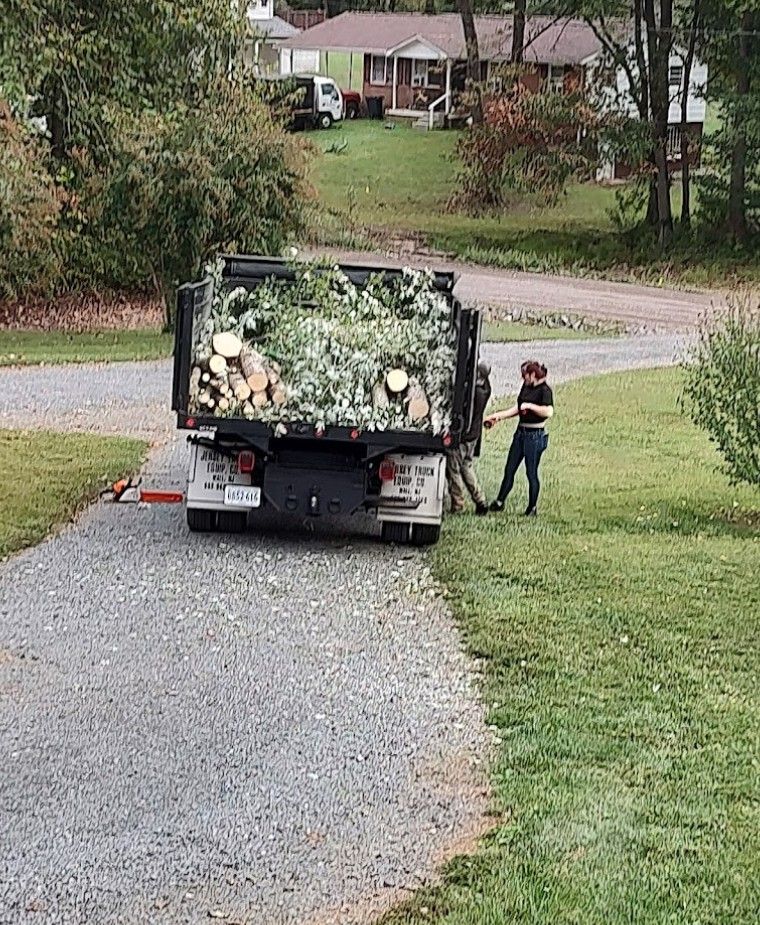 A dump truck filled with logs is parked on the side of a gravel road.
