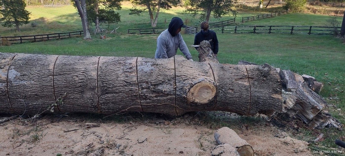 Two men are cutting a large log with a chainsaw.