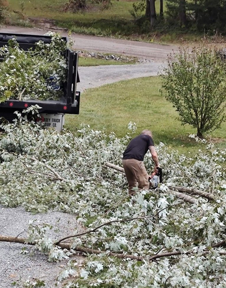 A man is cutting a tree with a chainsaw.