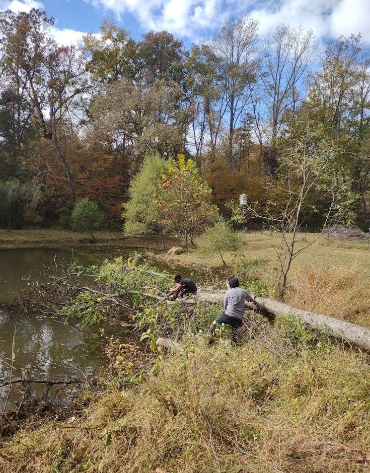 A person is sitting on a log next to a lake.