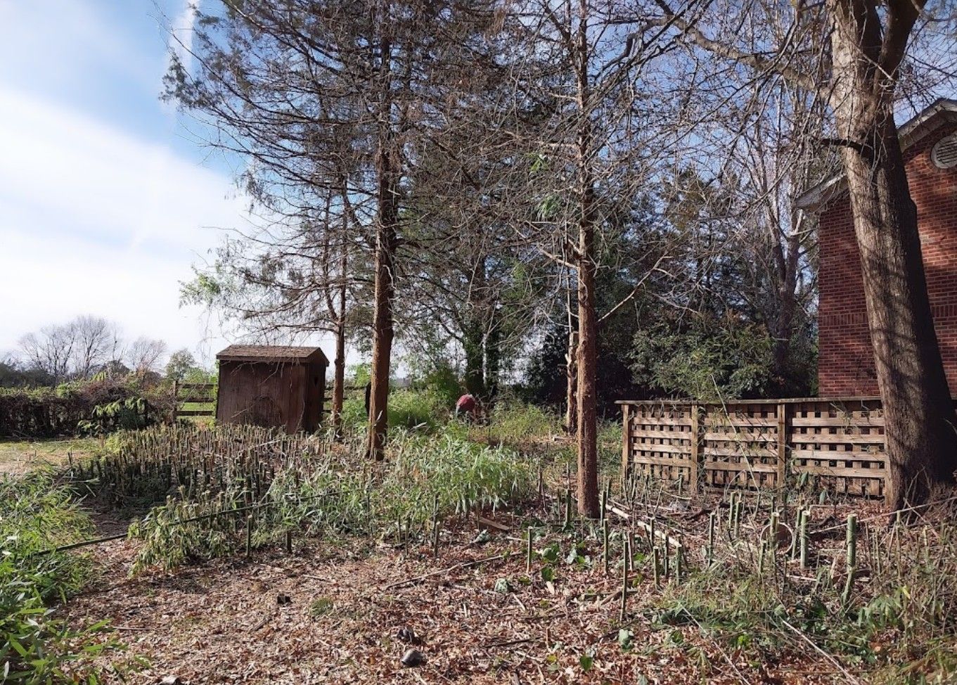 A wooden shed is sitting in the middle of a field surrounded by trees.