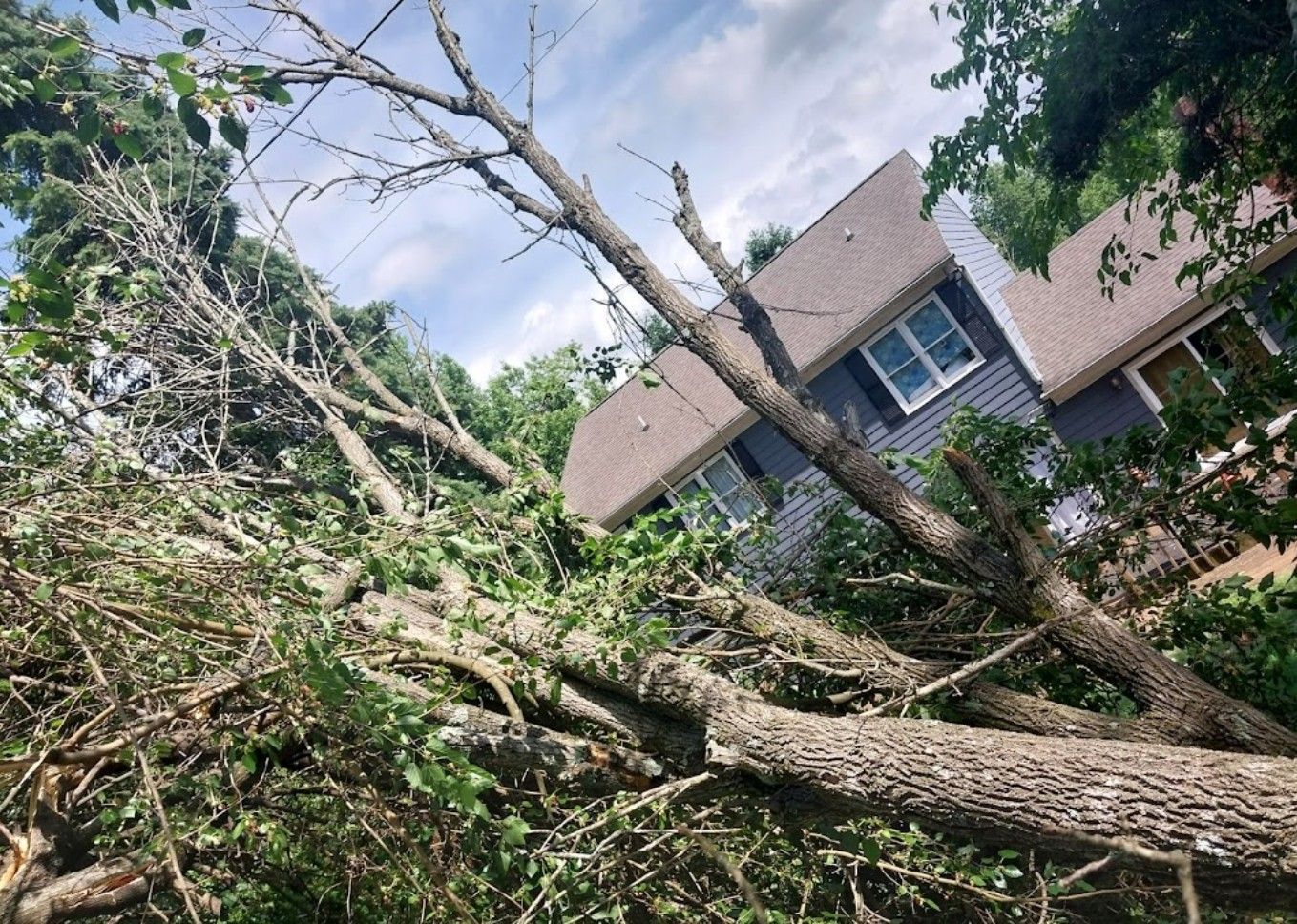 A tree that has fallen in front of a house.