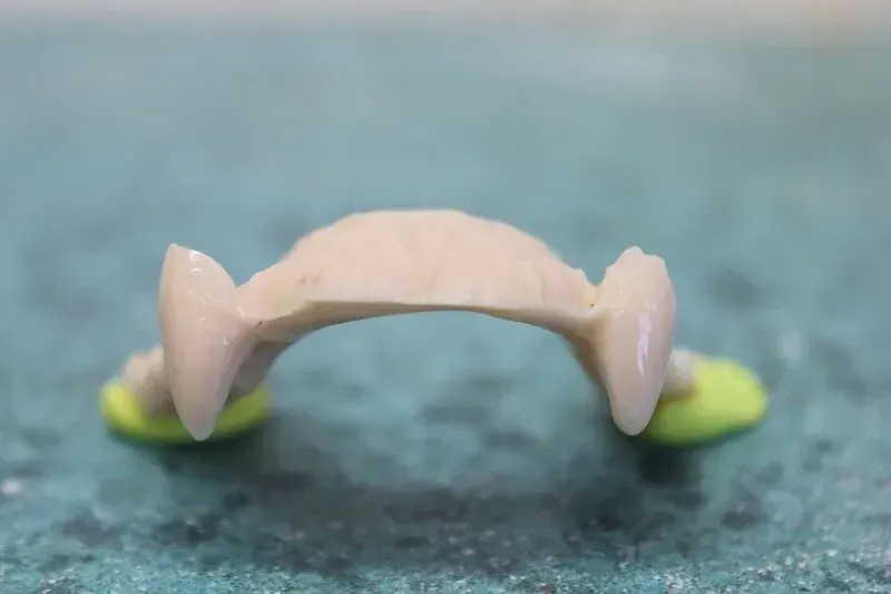Novelty Denture Mould — Dentures in Toukley, NSW