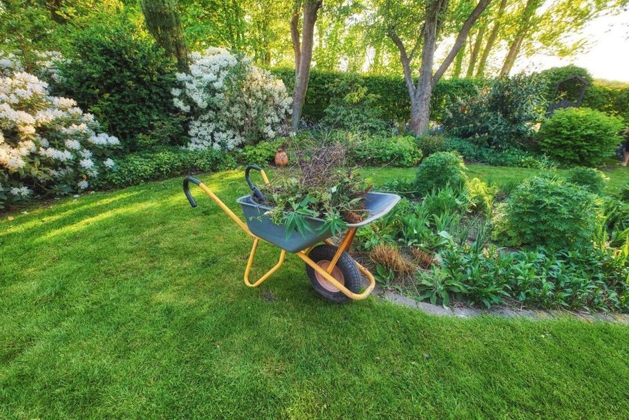 Wheelbarrow with potted plants in a lush green garden