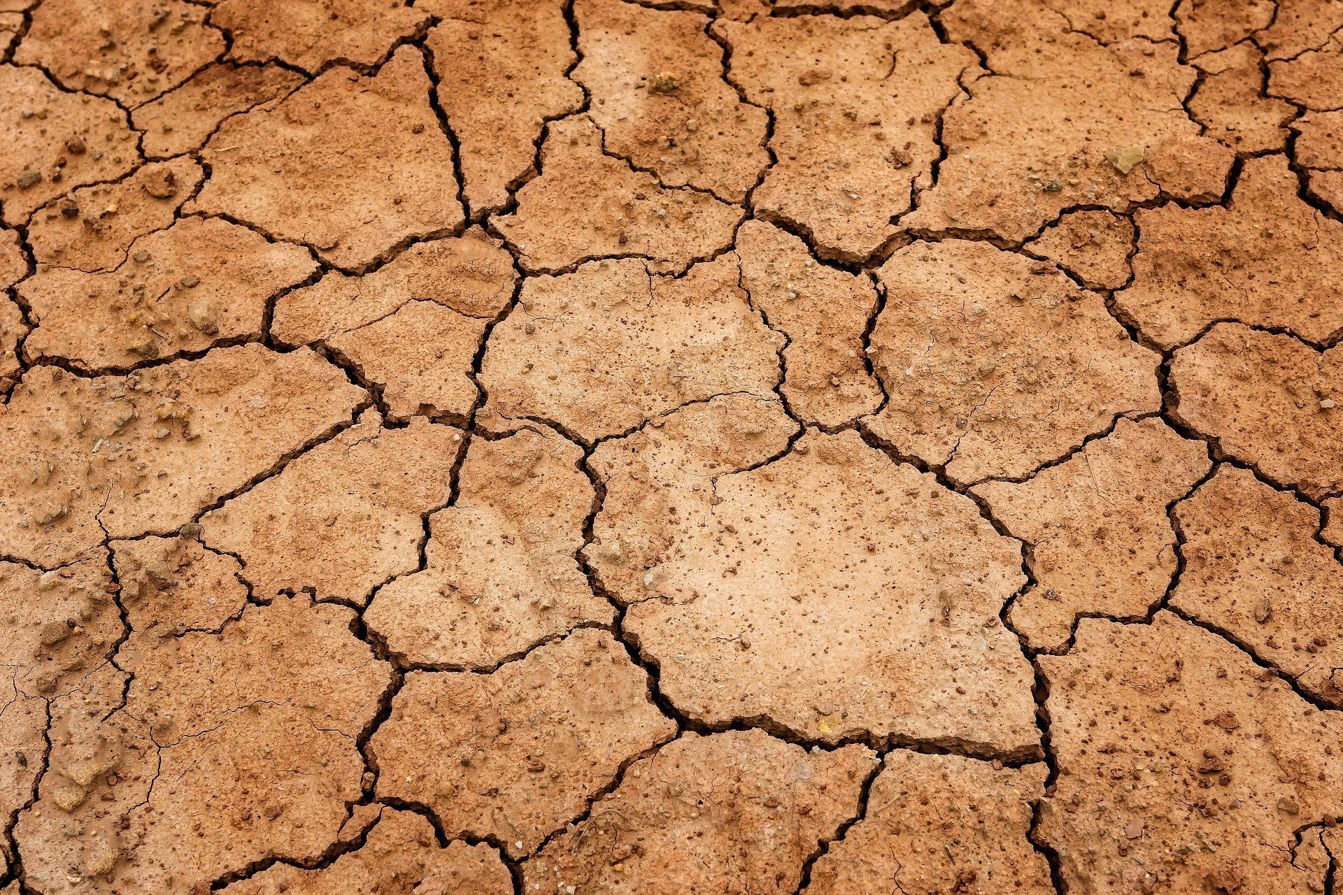 Ein Bodengutachten gehört zu einer guten Bauplanung