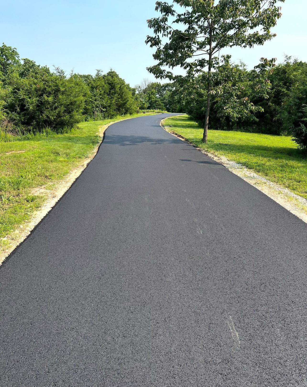 Paved path winding through a green park with trees and grass on a sunny day