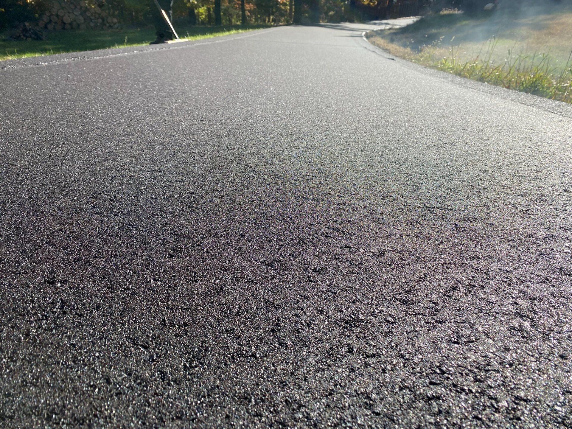 Low-angle view of a sunlit paved road curving through a wooded area