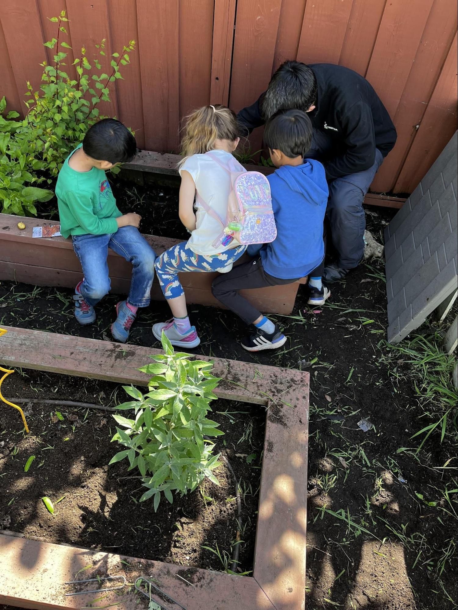 Montessori guide and children working with gardening