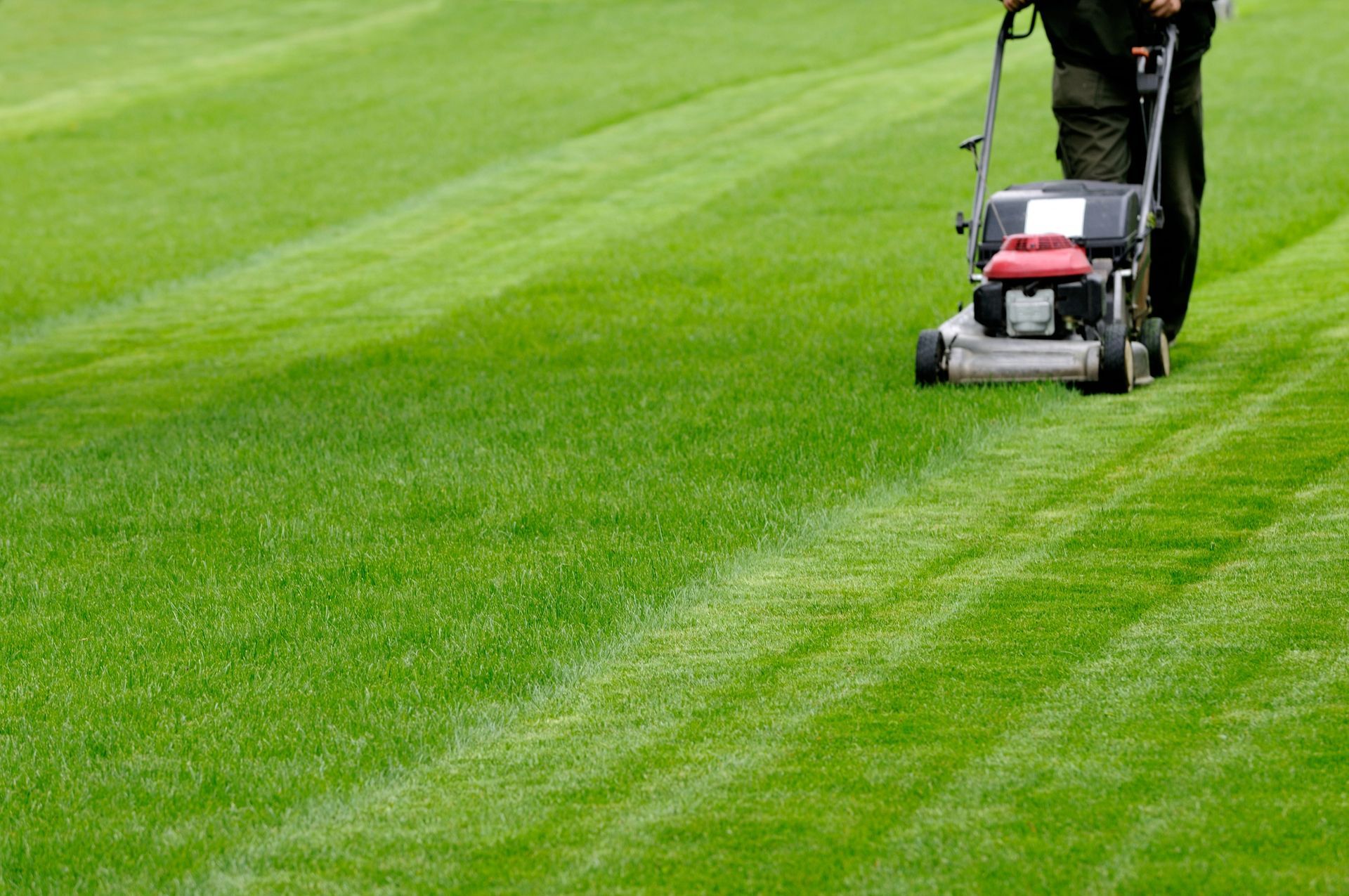 Lawn Care Maintenance in Ravenel, SC Lawn Care Maintenance in Ravenel, SC