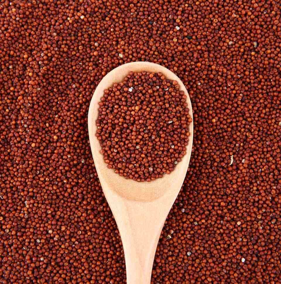 Wheat - AGP, APH, APW, ASW, H1, FED, DR1