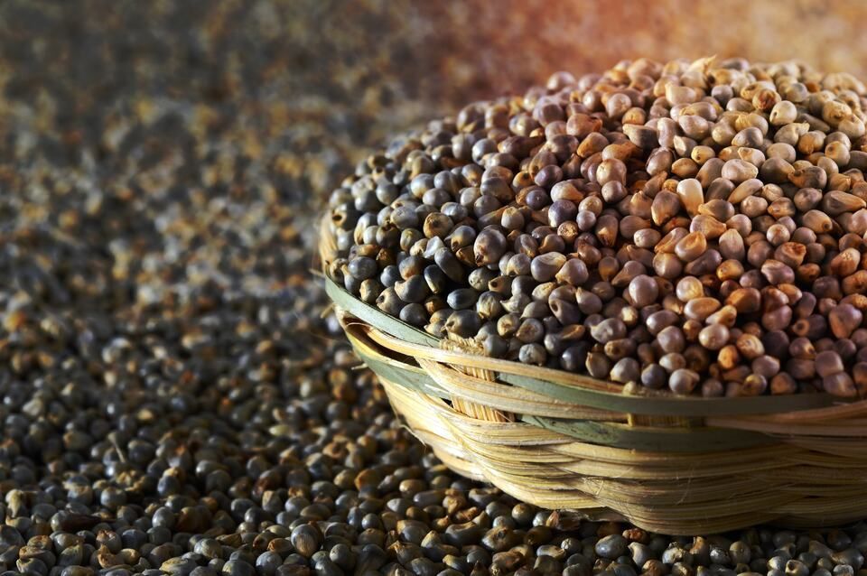 pearl barley