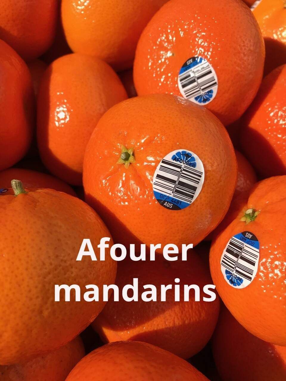 Australian Afourer Mandarins