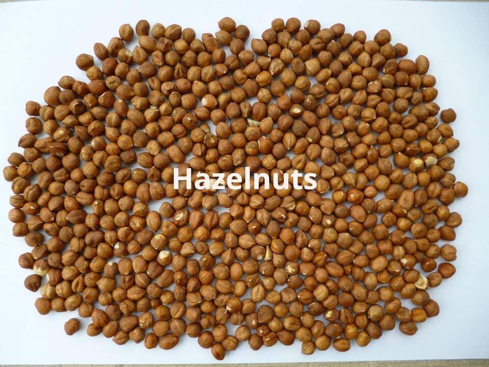 hazelnuts