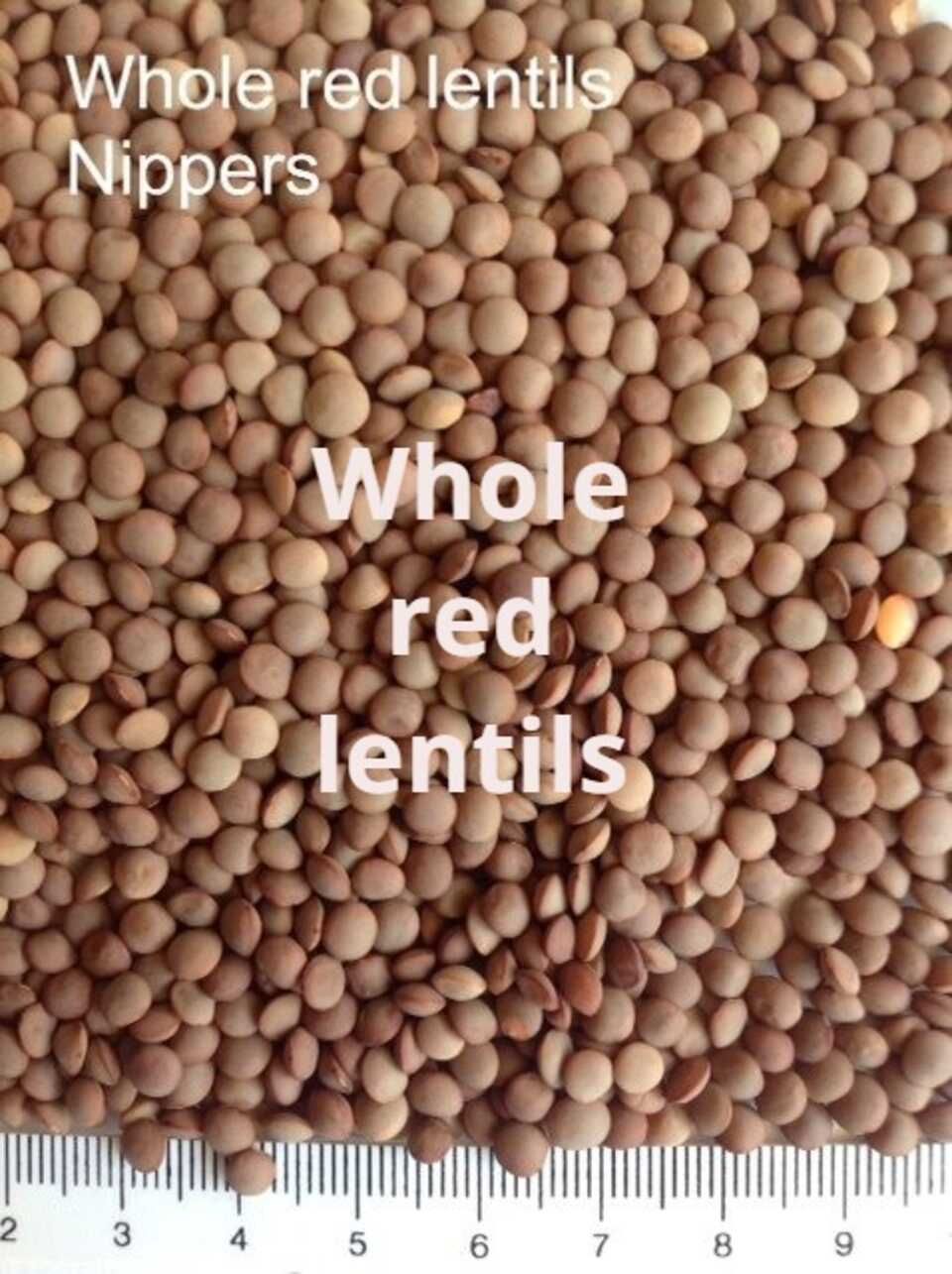 red, green, whole, split. Nuggets, nipper, jumbo