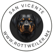 Rottweiler en Venta