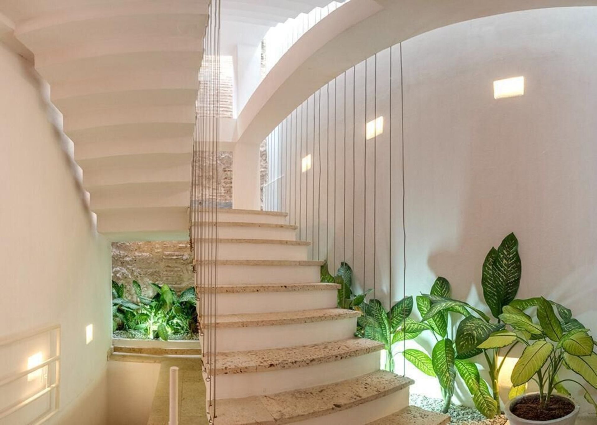 Una escalera con una planta en el medio.