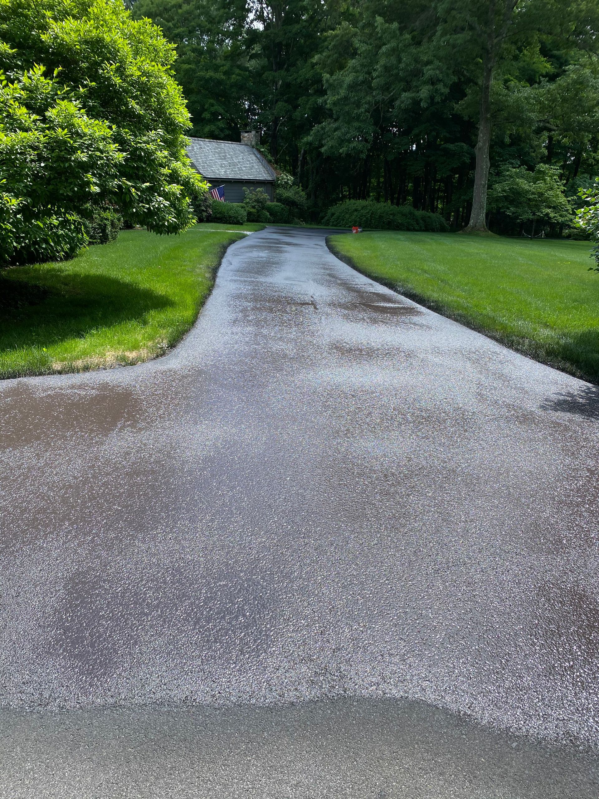 A paved driveway covered in a thick layer of fallen white flower petals, bordered by lush green lawns and dense trees.