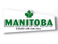 logo manitoba