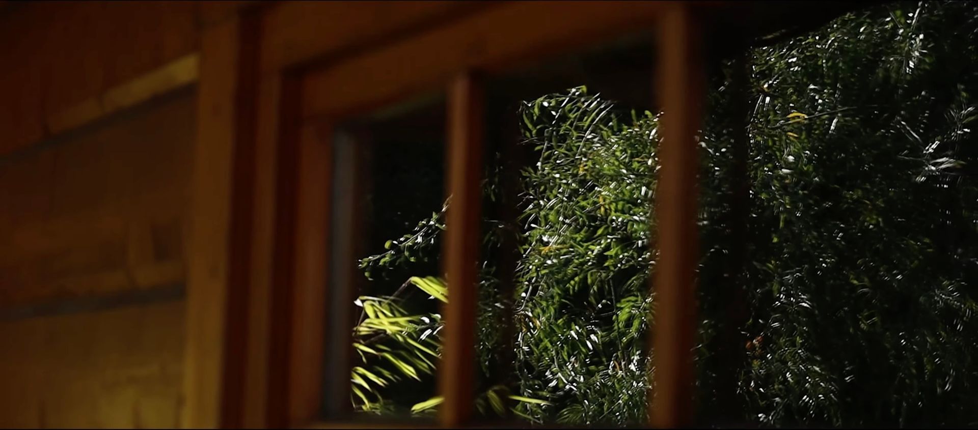 Ein Fenster mit Blick auf einen Wald bei Nacht.