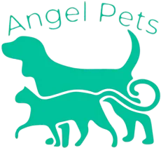 Teal “Angel Pets” logo with two pet silhouettes, a dog above a cat, on a white background