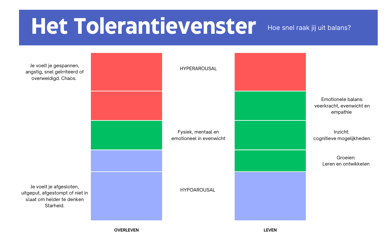 Werking van window of tolerance in beeld