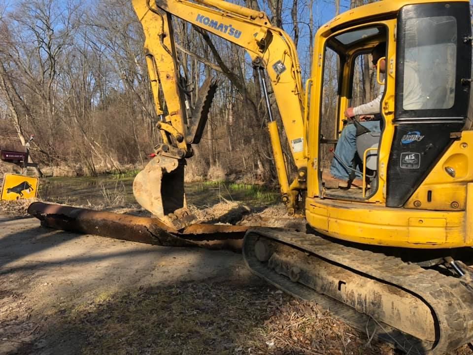 Yellow excavator lifting a fallen tree trunk beside a dirt path in a wooded area