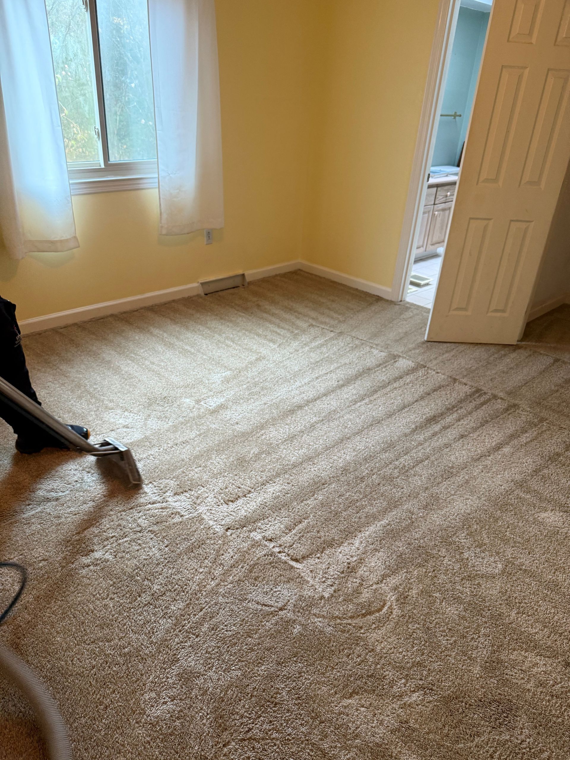 Carpet being cleaned with a machine in a room with yellow walls, a window, and an open doorway.