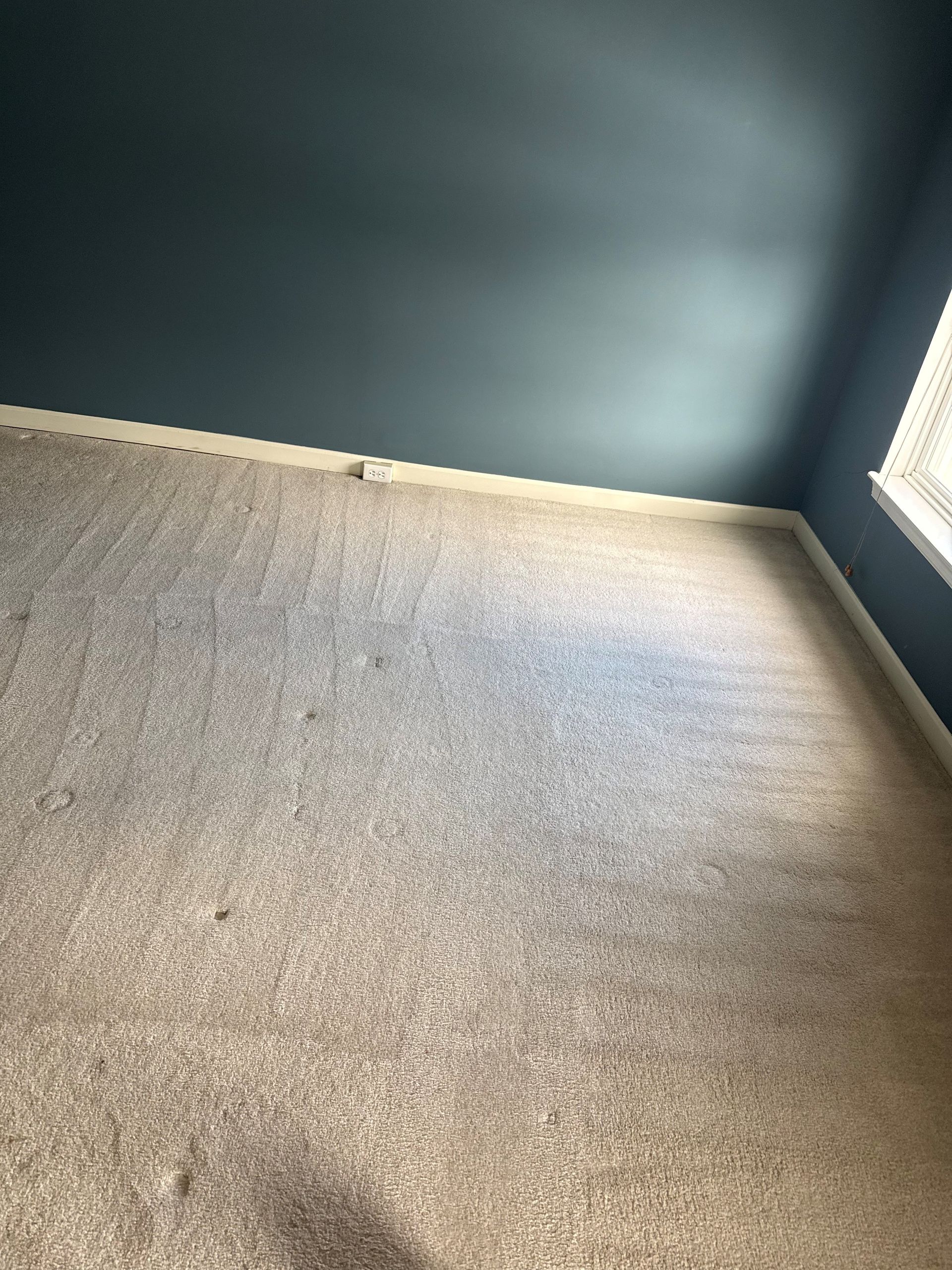 Room with a dark blue ceiling, beige carpet, and a window in the upper right corner.
