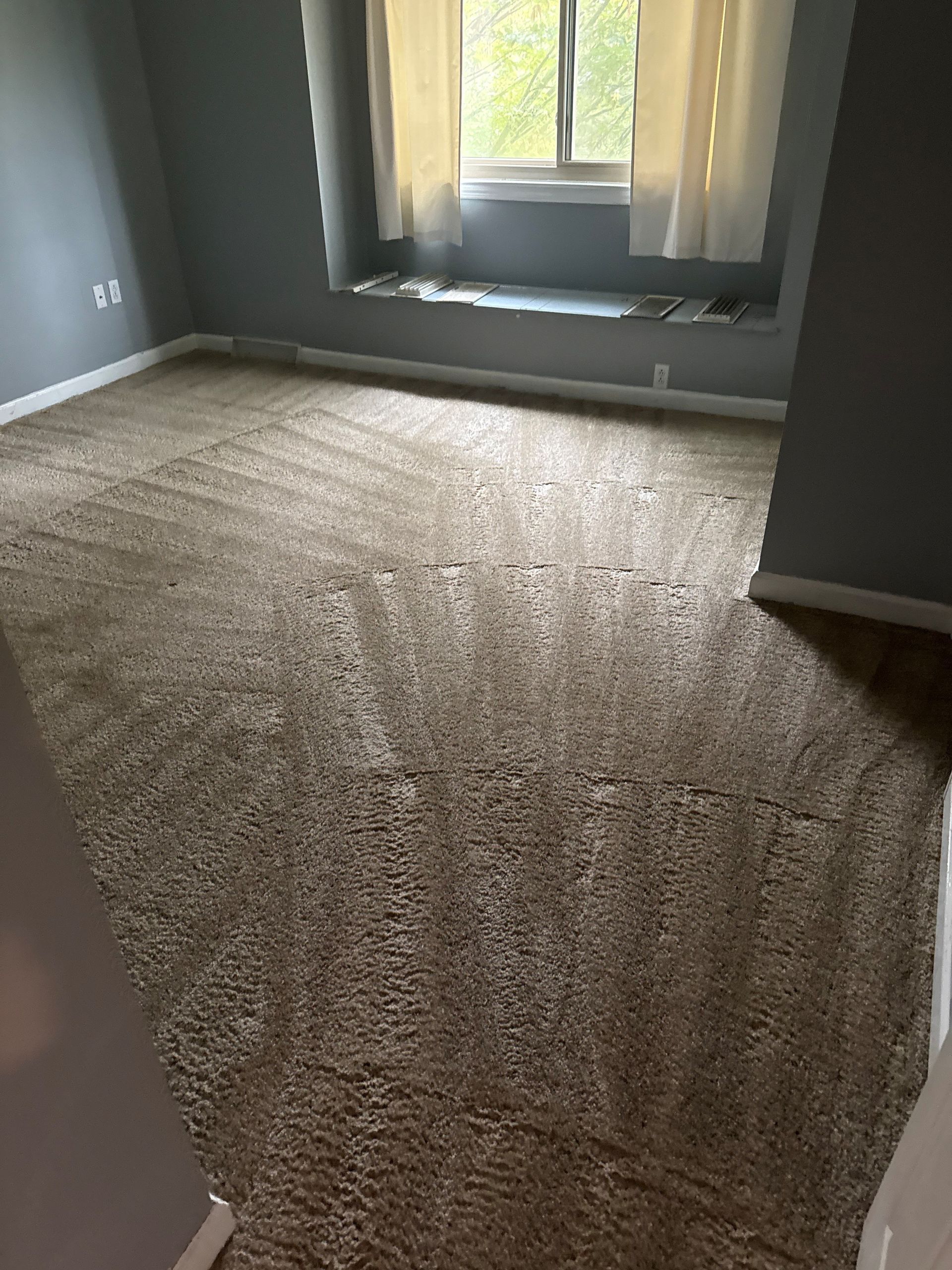 Beige carpeted bedroom with a window, white curtains, and gray walls.