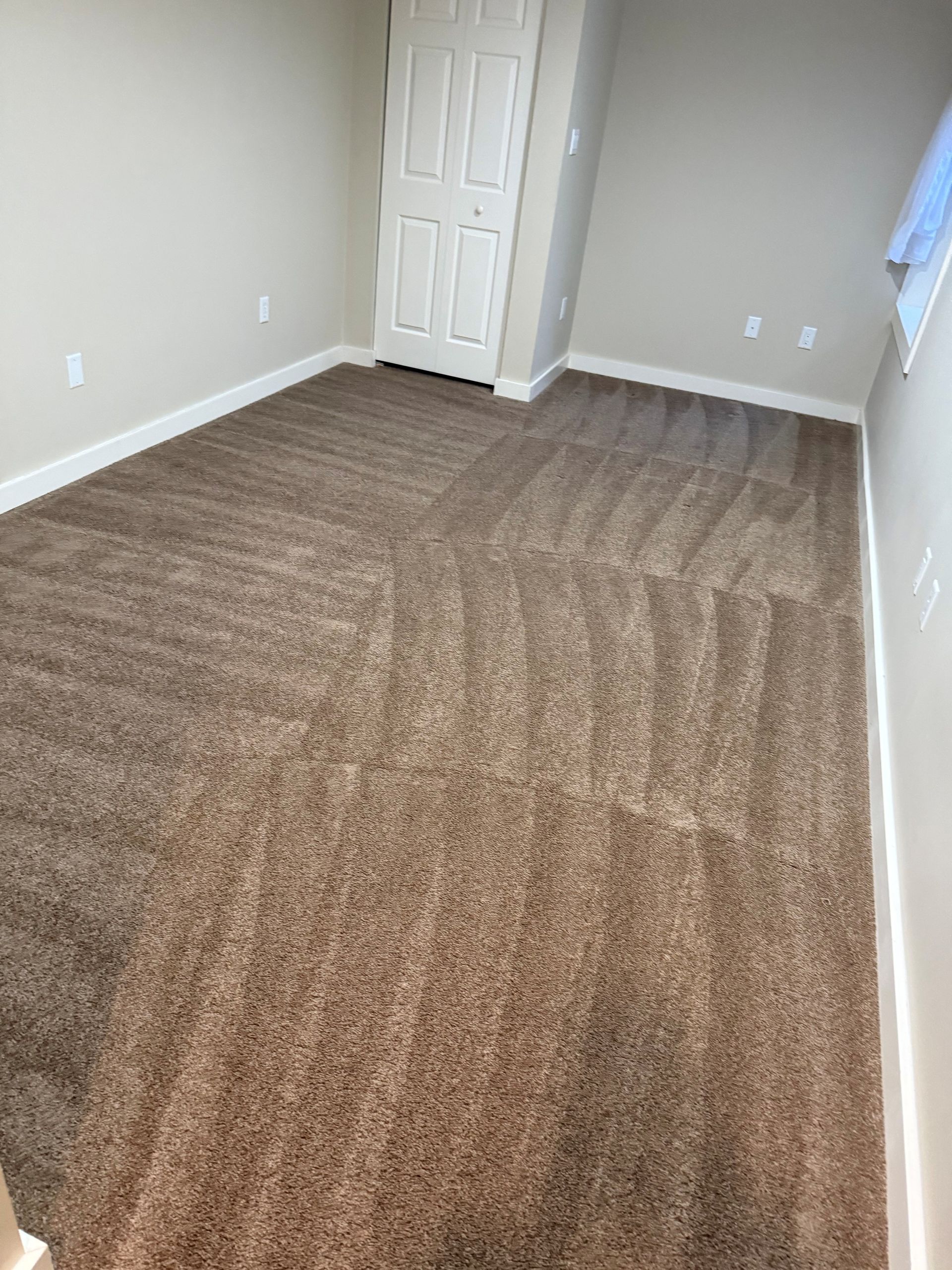 Brown carpet in a room with light beige walls and a white door.