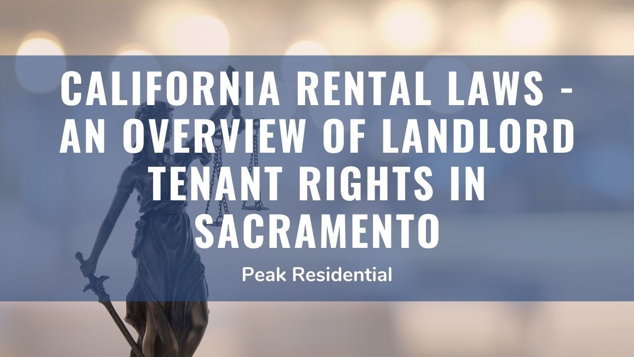 rental law