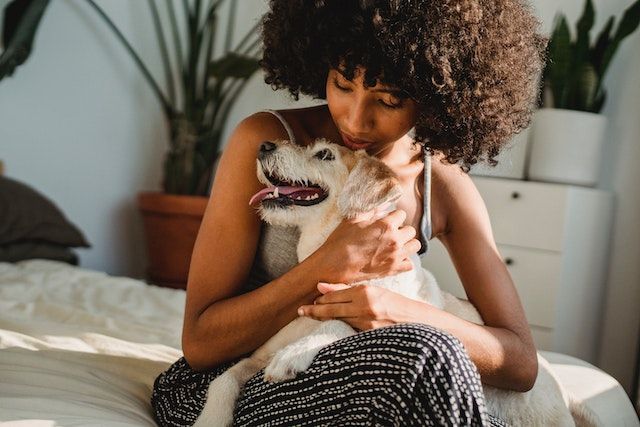 person-sitting-on-the-couch-cuddling-with-their-dog