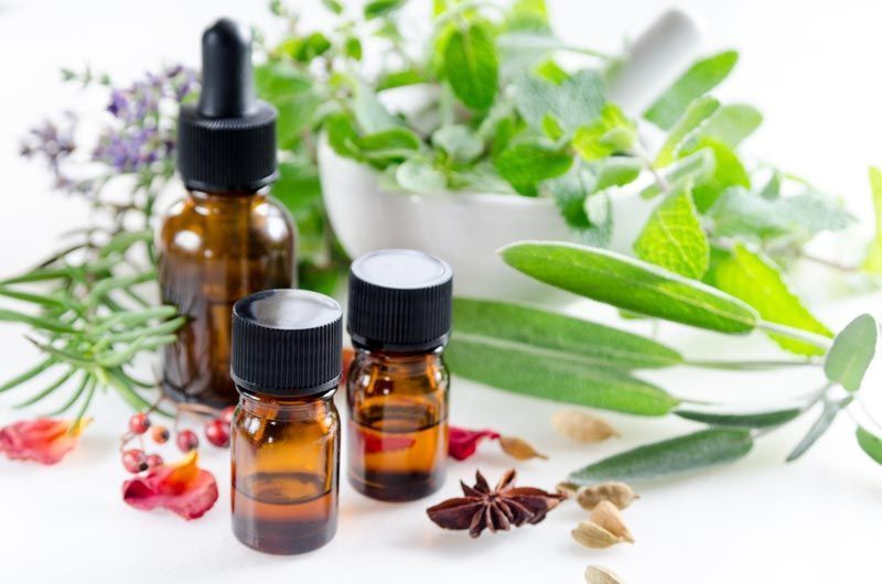 Assorted essential oil bottles with fresh herbs, flowers, and sliced cucumber on a white background