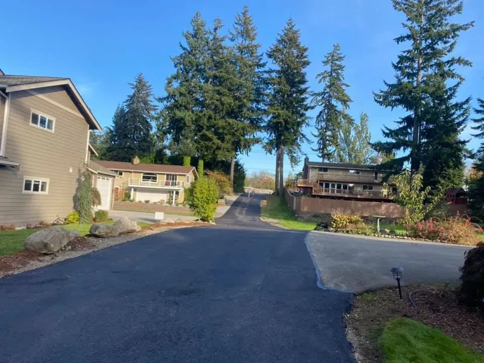 Paved residential road curves uphill, flanked by houses and tall evergreen trees under a blue sky.