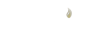 logo-image