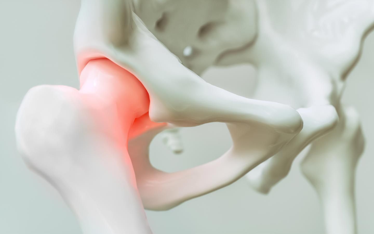 Human hip joint, highlighted in red to indicate pain.
