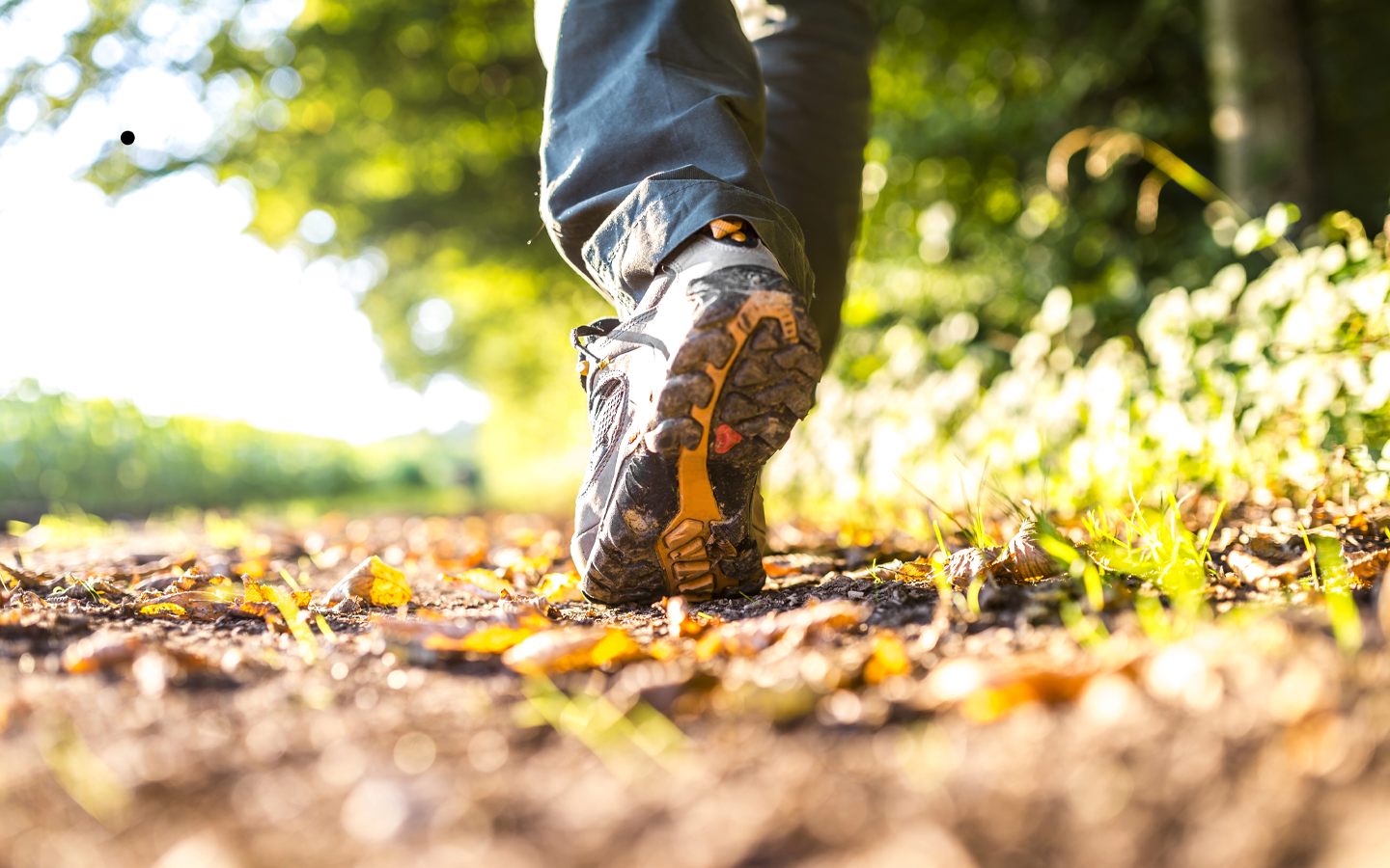Close-up of muddy hiking boots walking on a sunlit forest trail