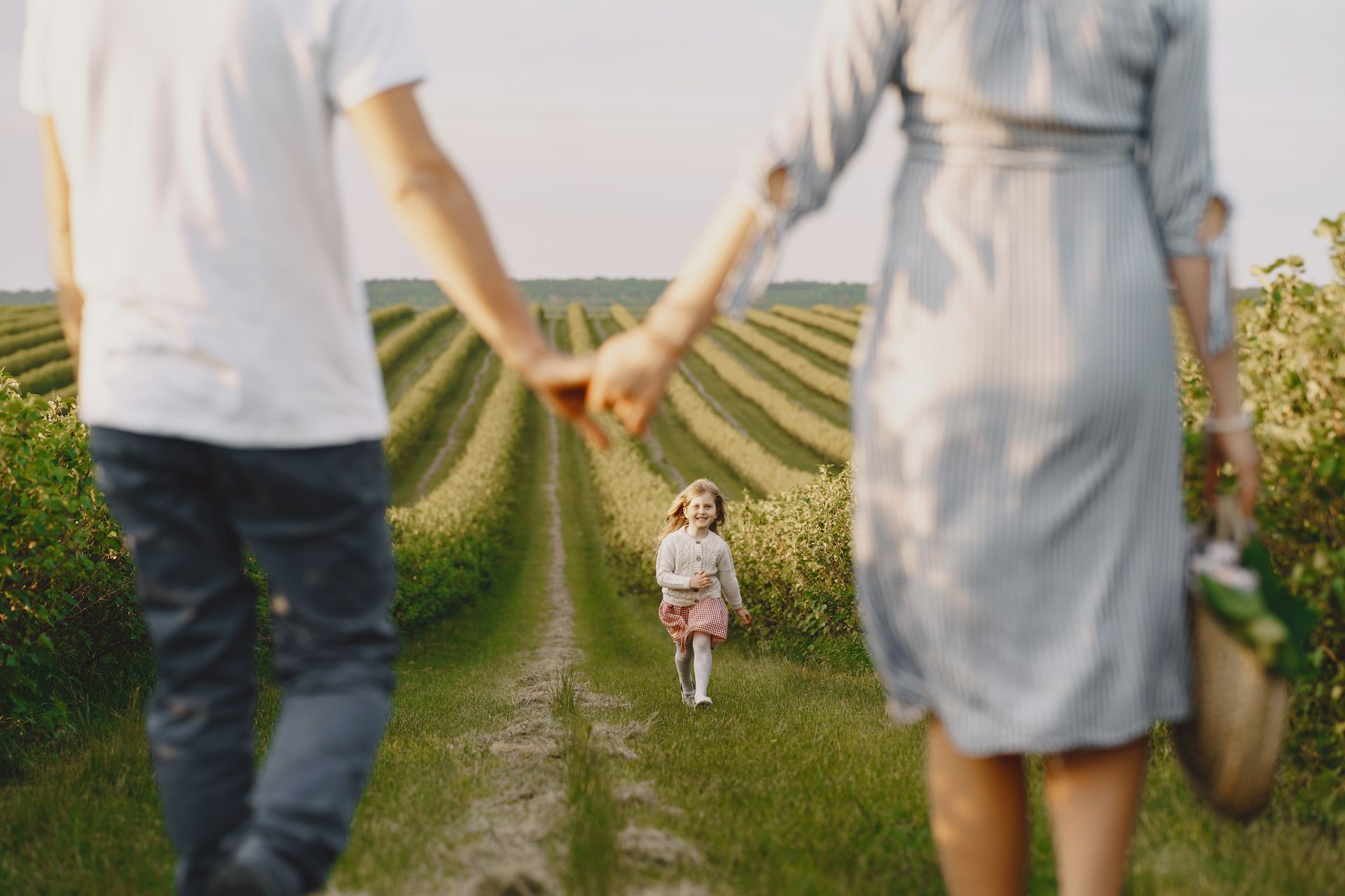 Two adults holding hands with a child walking between vineyard rows at sunset