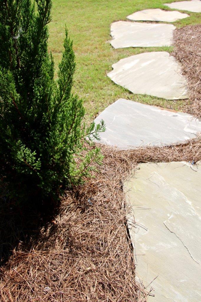 Stone pathway bordered by pine straw and green grass, with a tall, green bush to the left.