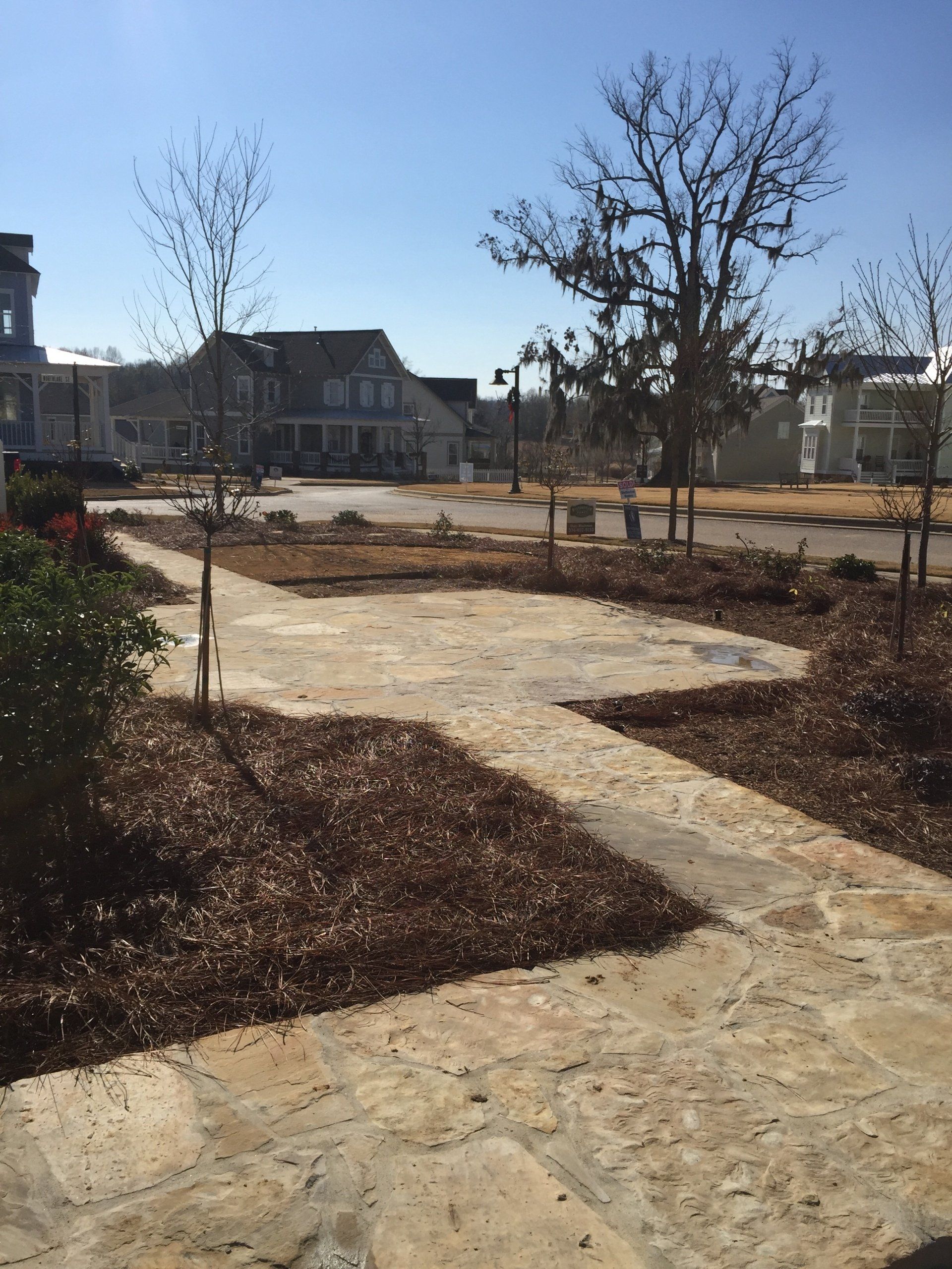 Stone pathway leads to a street with homes; trees and mulch surround it. Clear, sunny day.