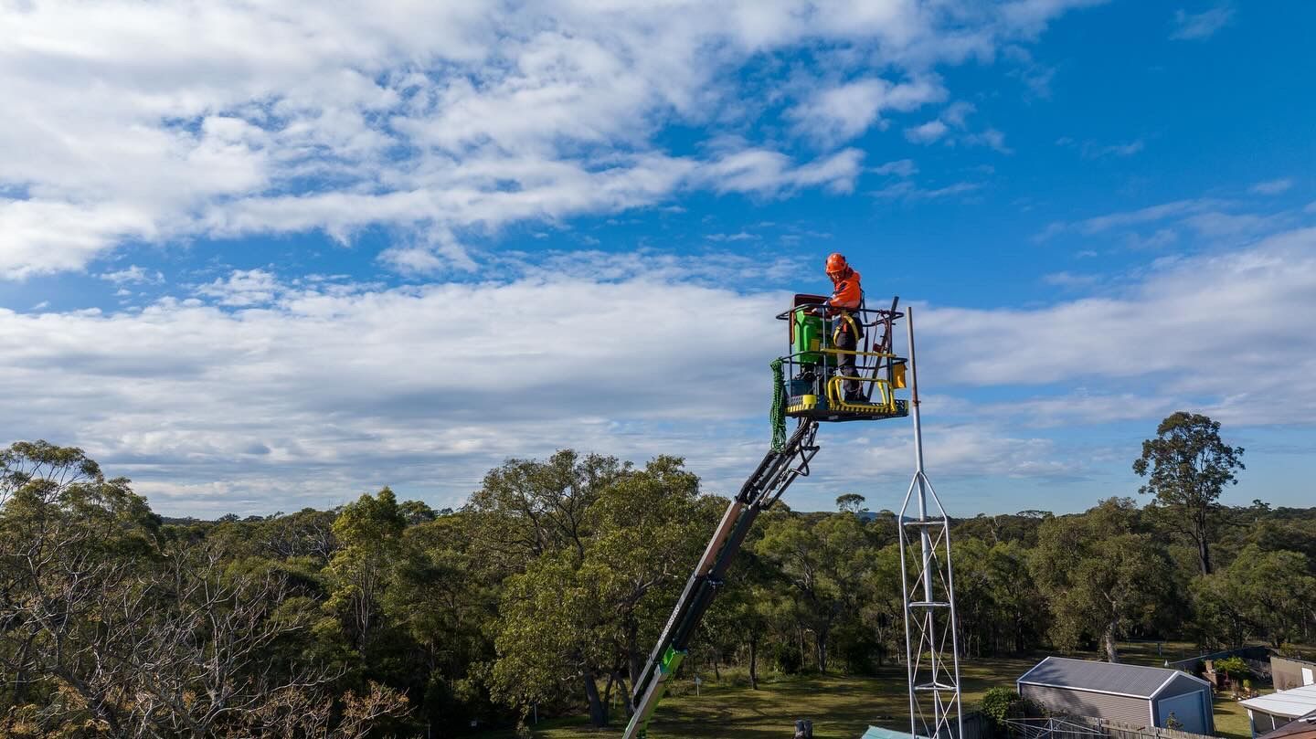 Ariel Removal 4 — High Work Services in Maitland, NSW