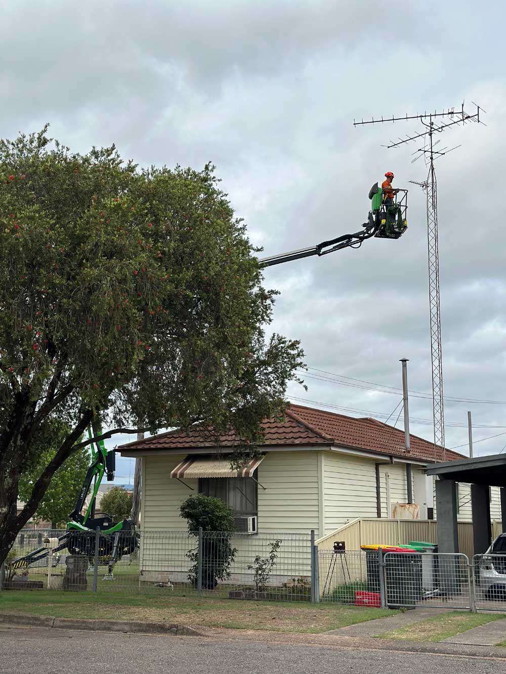 A Man In A Bucket Is Cutting A Tree In Front Of A House — High Work Services in Maitland, NSW