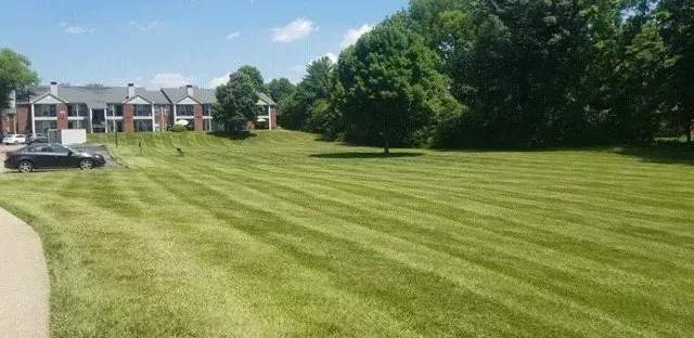 Lawn — O’Fallon, MO — BLCS Landscape and Irrigation