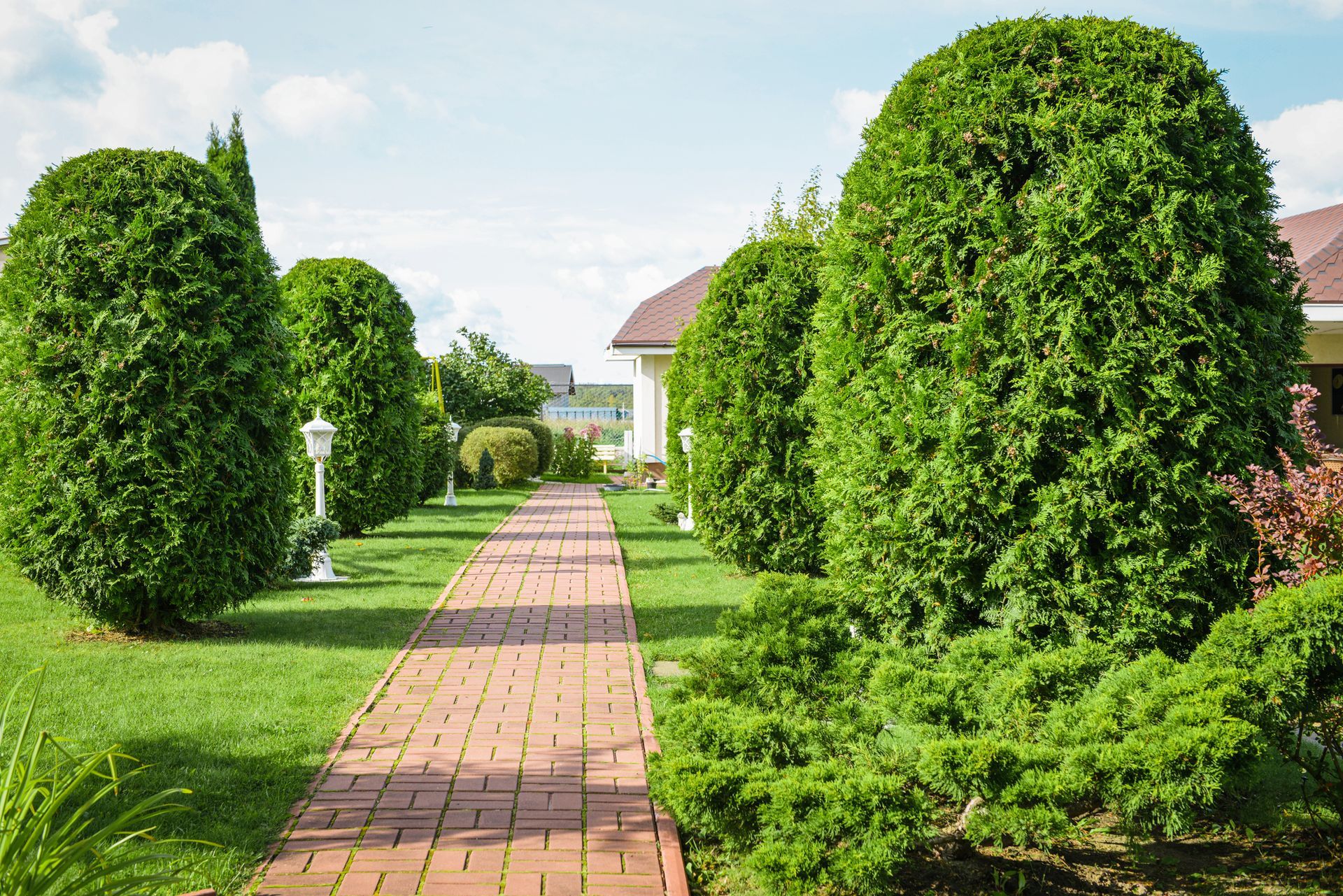 Bushes — O’Fallon, MO — BLCS Landscape and Irrigation