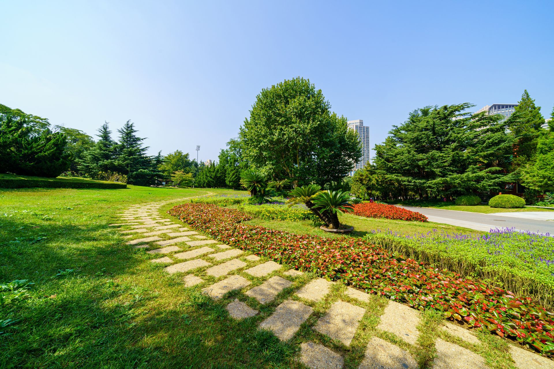Beautiful Planted Lawn — O’Fallon, MO — BLCS Landscape and Irrigation