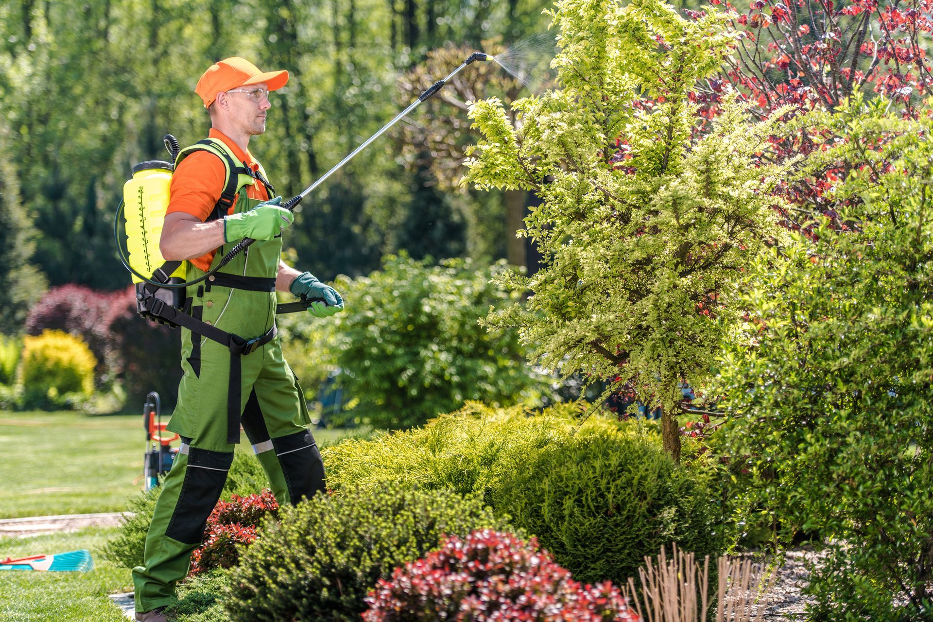 Man Spraying Fertilizer — O’Fallon, MO — BLCS Landscape and Irrigation